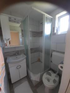 Koupelna v ubytování Rooms Luka