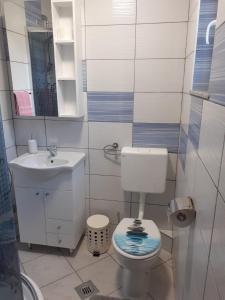 Koupelna v ubytování Rooms Luka
