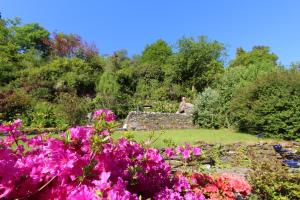 Giardino di Clyde View B&B