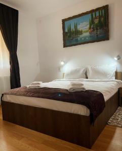 Un dormitorio con una cama con un cuadro en la pared. en ULLYSSES GUEST HOUSE, en Brasov
