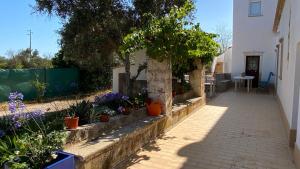 a garden with flowers and plants on a sidewalk at Gold - Private Pool - 18 Guests - Albufeira in Albufeira +37 photos
