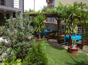チェルノモレツにあるGuest House Niya Chernomoretsの植物とテーブルとベンチのある庭園
