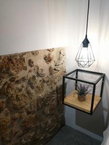 a glass tank with a plant in it next to a wall at B&B Sea Salt in Terrasini