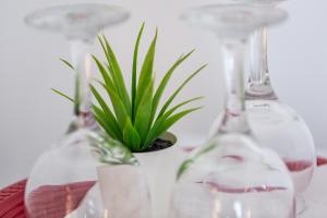 un grupo de copas de vino con una planta en una olla en Green House, en Bucarest