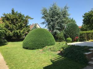Ogród w obiekcie HAuszeit - Zeit für dich - Zeit am See