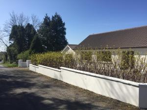 a white fence with plants on the side of a road at Carrick-on-Shannon Guest House in Carrick on Shannon