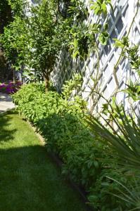 Gallery image of Hotel Fortunella in Lido di Camaiore