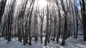 Albergo Generale Cantore - Monte Amiata during the winter