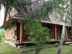 a log cabin in the woods with a tree at Michniowiec 6 in Czarna