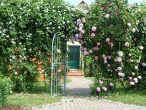 a gate in a garden with pink roses at Ferien auf Rügen Familie Geist in Garz