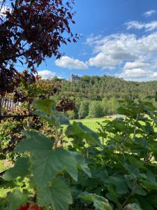 a garden with a view of a field and trees at La Fermette du Lac in Spa