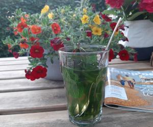 a glass of water sitting on a table with flowers at Mahil-Laya in Meppel