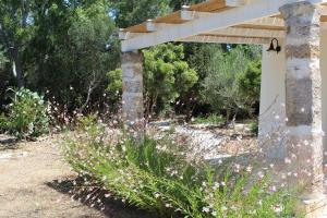 A garden outside Trullo Le Macchie