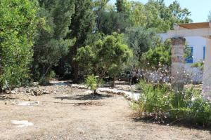 A garden outside Trullo Le Macchie