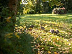 Fotografie z fotogalerie ubytování Crannagael House v destinaci Portadown