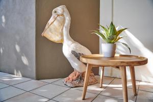 a bird sitting on top of a table next to a plant at Julians Apartments in Byron Bay