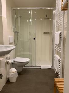 ein Bad mit einer Dusche, einem WC und einem Waschbecken in der Unterkunft Ferienpension Seeblick in Neuensien