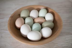 Fotografie z fotogalerie ubytování Crannagael House v destinaci Portadown + 26 fotografií