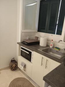 a kitchen with a sink and a microwave at DORA'S APARTMENTS STUDIO 1 in Corfu