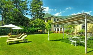 une pelouse avec des chaises, des parasols et des tables dans l'établissement Villa Lombardi, à Camaiore