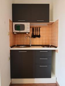 a kitchen with a sink and a microwave at Apartment Plavia Biograd in Biograd na Moru