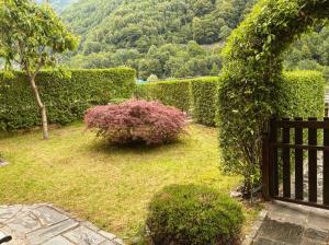 un jardín con una valla y un arbusto rosa en Appartamento con Giardino e Box in Valmalenco en Torre di Santa Maria