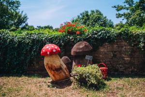 Fotografie z fotogalerie ubytování Casa Karnevali v destinaci Žminj