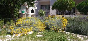 Vonkajšia záhrada v ubytovaní Holiday home Ruzmarin