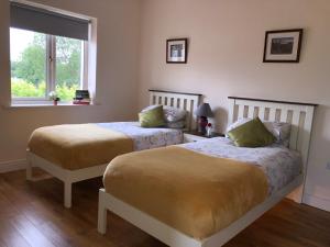 a bedroom with two beds and a window at Tir Na Spideoga in Ennis