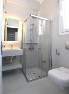 a bathroom with a shower and a toilet and a sink at Nostos Beachfront Apartments & Studios in Agios Ioannis