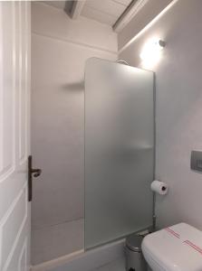 a bathroom with a toilet and a glass shower door at Nostos Beachfront Apartments & Studios in Agios Ioannis
