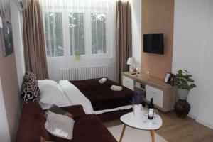 Μια τηλεόραση ή/και κέντρο ψυχαγωγίας στο Apartman LUNI