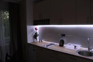 Η κουζίνα ή μικρή κουζίνα στο Apartman LUNI +16 φωτογραφίες