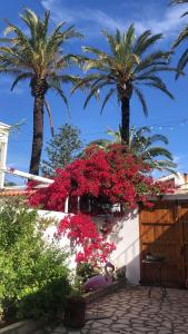 Jardín al aire libre en Lo Segador