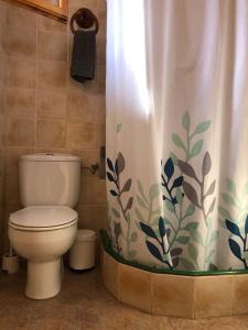 a bathroom with a toilet and a shower curtain at Lo Segador in Poblenou del Delta