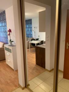 Kuchyňa alebo kuchynka v ubytovaní Apartament Zdrojowa