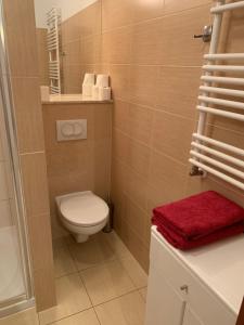 Kúpeľňa v ubytovaní Apartament Zdrojowa