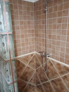 W łazience znajduje się prysznic ze szklanymi drzwiami. w obiekcie Studio34 w mieście Câmpulung