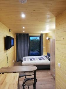 1 dormitorio con 1 cama y 1 mesa en una habitación en Lodge du Léman, en Sciez