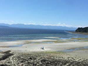 Příroda nedaleko prázdninového domu