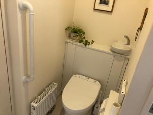 a small bathroom with a toilet and a sink at KEI in Lake Toya