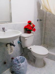 a bathroom with a toilet and a sink and red flowers at Nápoles Emperador II in Ambato