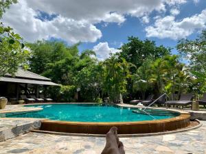 a person laying on the ground next to a swimming pool at Baan Chai Thung Resort in Doi Saket