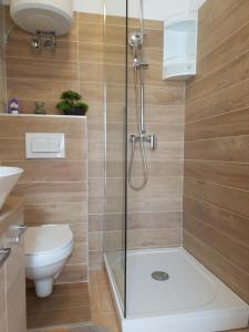 Kúpeľňa v ubytovaní Apartments Habek