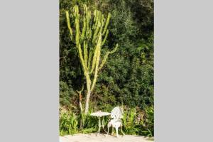 Ein Garten an der Unterkunft Villa Cecylia