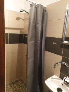 een douchegordijn in een badkamer met een wastafel bij Gesztenye apartman in Úrkút