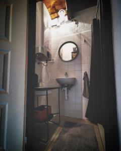 a small bathroom with a sink and a mirror at Zebegényi Présház in Zebegény