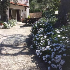 Φωτογραφία από το άλμπουμ του Azienda Agricola B&B Macchiaria στο Βιέστε
