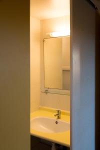 a bathroom with a sink and a mirror at LES CHALETS D HERMINE in Montredon-Labessonnié