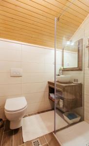 Koupelna v ubytování Apartments Hana Bled + 14 fotografií